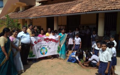 World Environment Day celebration at BEM School